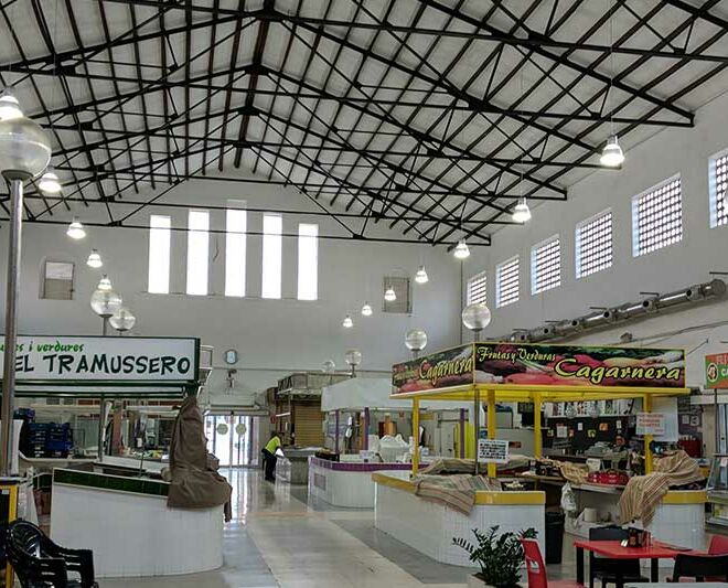 reforma-general-oliva